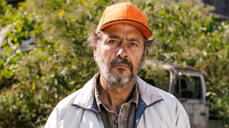Três Graças – Resumo Quinzenal (30/03 a 11/04): A QUEDA de Ferette e a soltura com grande VIRADA de Gerluce 5 Joaquim, personagem de Marcos Palmeira em Três Graças, aparece em cena com expressão tensa