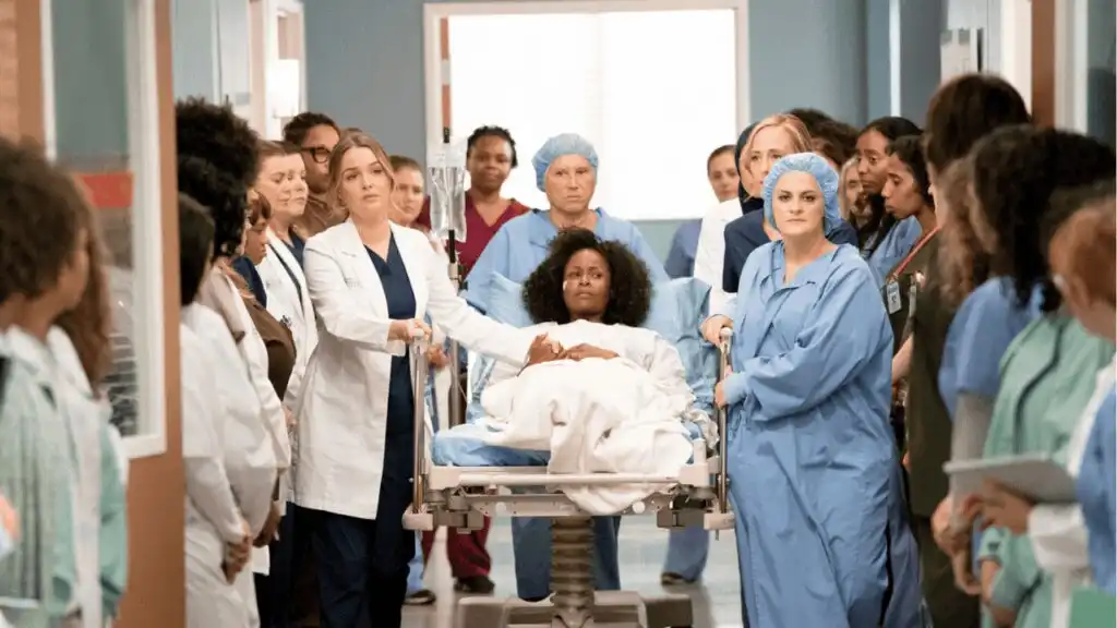 10 Séries Protagonizadas e Criadas Por Mulheres Que Exalam Sororidade e Feminismo 3 Grey’s Anatomy