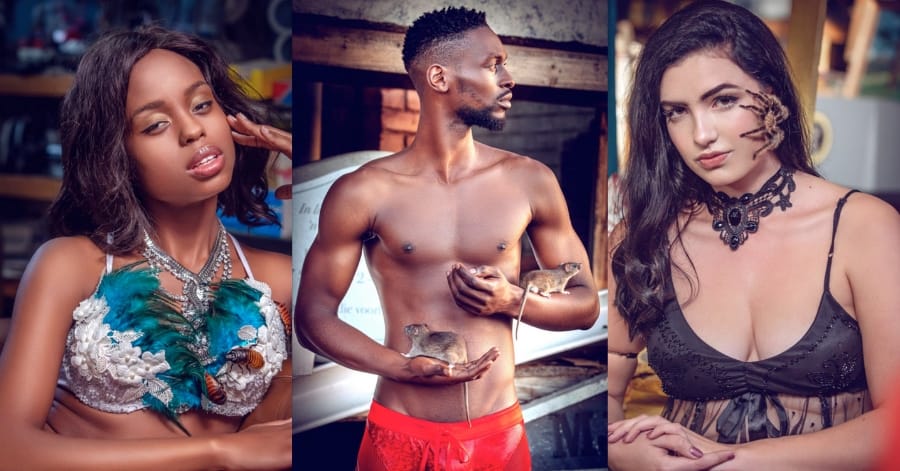 Removidos Netflix Agosto 2025: Prepare-se para se despedir destas 17 séries 16 Model (2020)