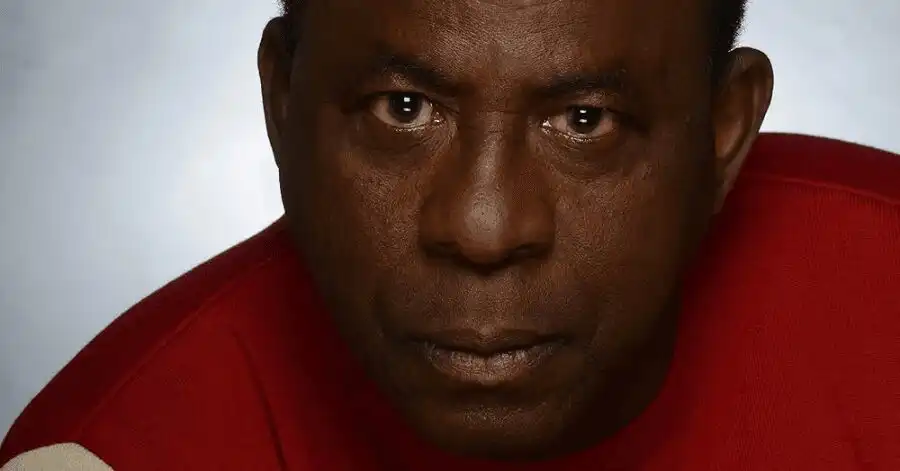 Juntos e Misturados: Tudo Sobre a Comédia Romântica e Divertida 14 Abdoulaye
