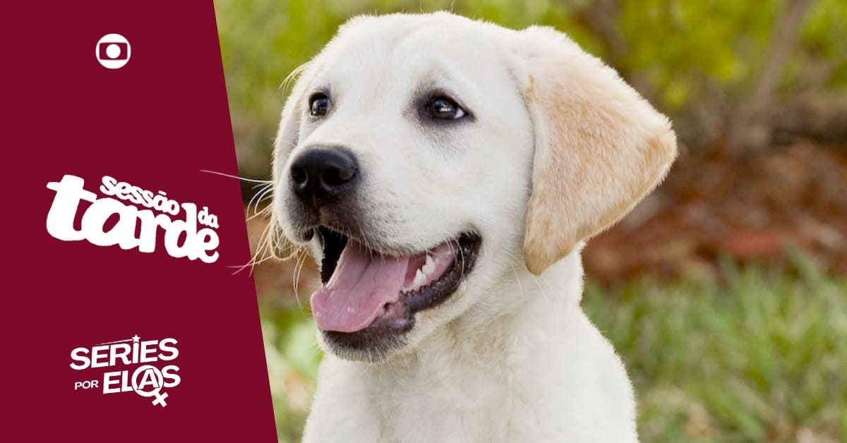 Sessão da Tarde Marley e Eu