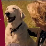 Marley & Eu história real
