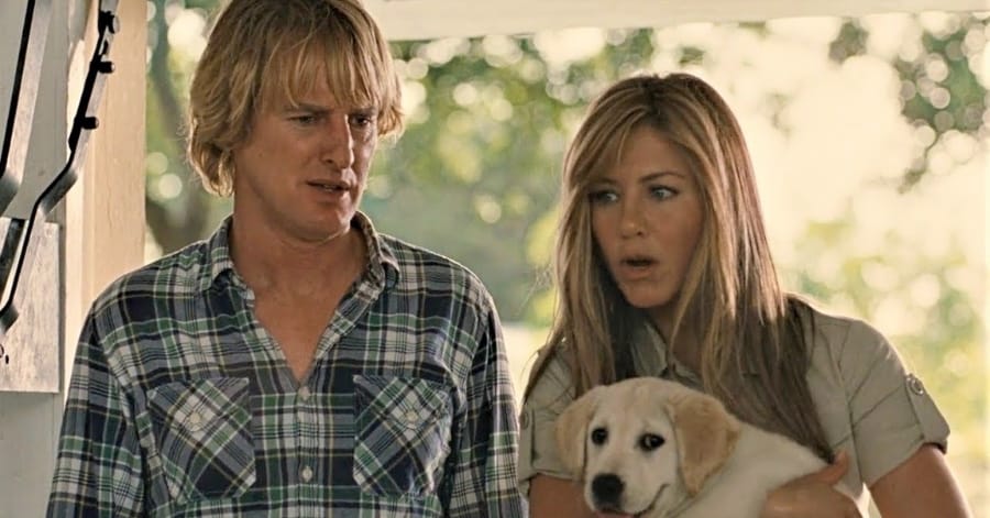 Marley & Eu é Baseado em uma História Real? Fatos e ficção 3 Marley & Eu