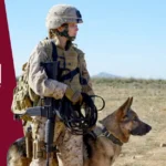 Megan Leavey: Elenco, Enredo, Crítica e Tudo Sobre O Filme 1 Megan Leavey