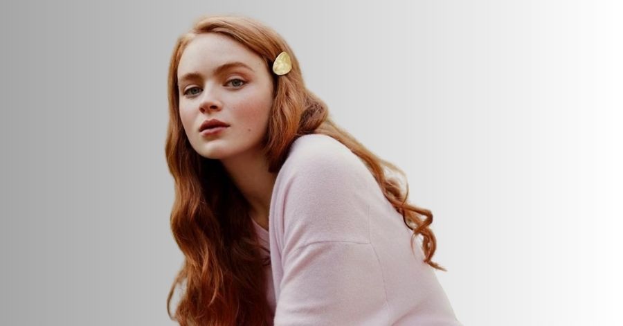 A Baleia: Elenco, Onde Assistir e Tudo Sobre o Drama 3 sadie sink