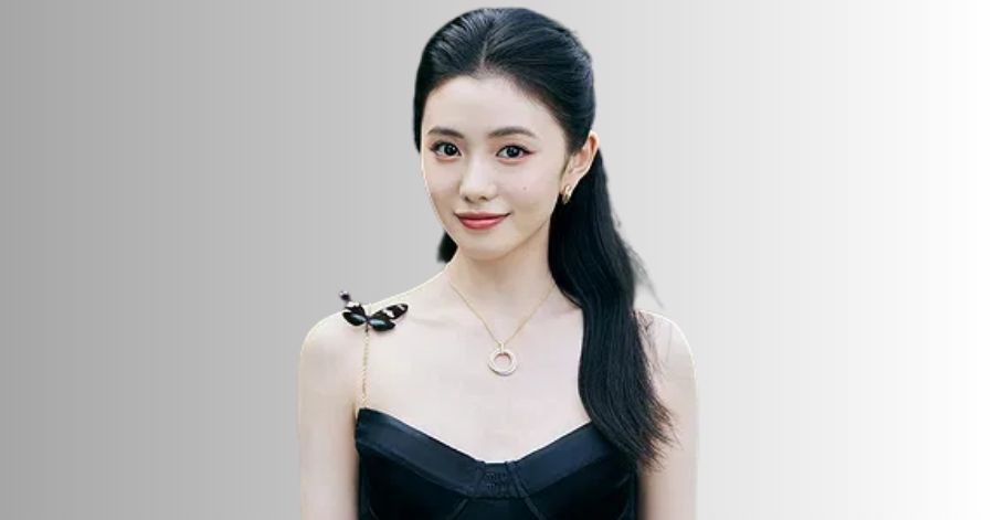 Bons Companheiros: Elenco, Onde Assistir e Tudo Sobre 3 Liu Haocun