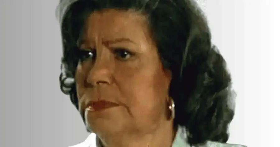 Maria do Bairro: Elenco, Onde Assistir e Tudo Sobre o Clássico Mexicano 9 Meche Barba