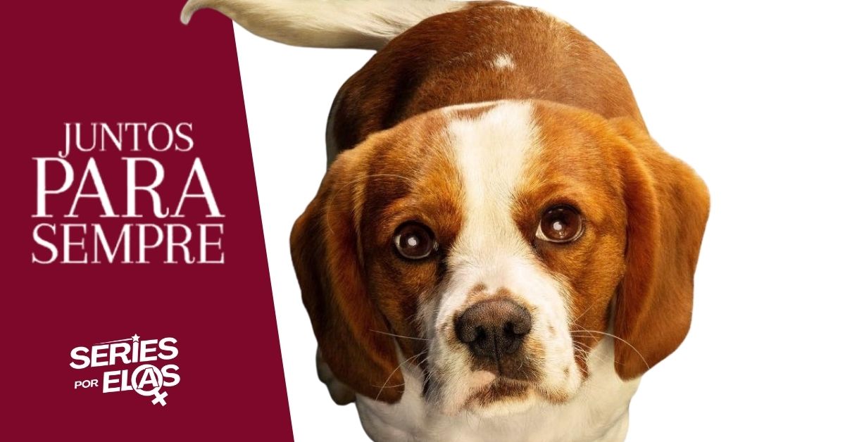 O Filme Juntos Para Sempre é Baseado em uma História Real? 1 juntos-para-sempre-historia-real