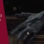 o-caixao_de-vidro