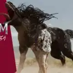 venom-a-ultima-danca-final-explicado