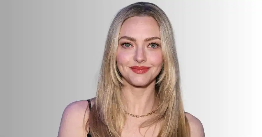 A Empregada (2025): Elenco, Onde Assistir e Tudo Sobre 4 Amanda Seyfried