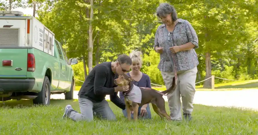 A Caminho de Casa (A Dog’s Way Home): Elenco e Tudo Sobre 3 A Caminho de Casa história