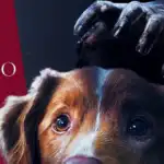 bom menino critica