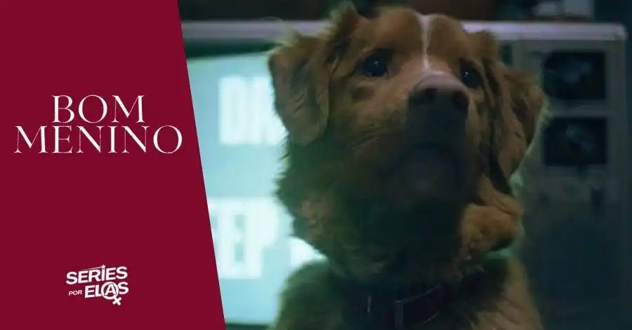 Bom Menino, Final Explicado: Tod e o Cachorro morrem? 2 bom menino final