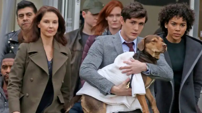 A CAMINHO DE CASA: Sinopse, Elenco e Tudo Sobre a Sessão da Tarde de hoje (17/10/2025) 5 Olivia
