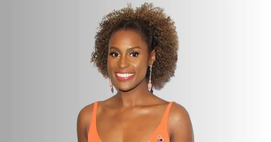 Ficção Americana (2023): Elenco, Onde Assistir e Tudo Sobre 5 Issa Rae