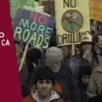 o efeito casa branca critica
