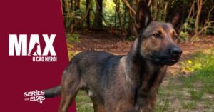 Max: O Cão Herói