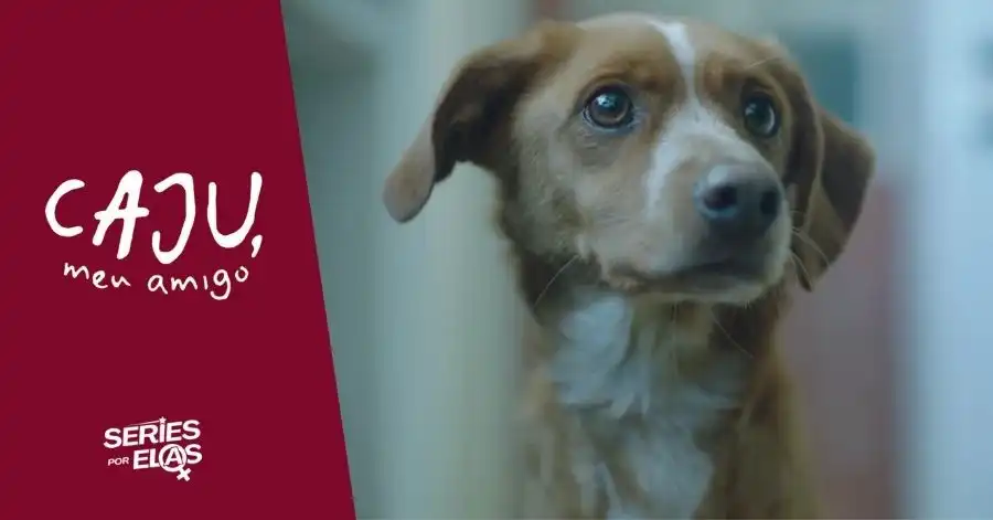 Caju, Meu Amigo - Final Explicado: Quem Fica Com o Cachorro? 2 caju