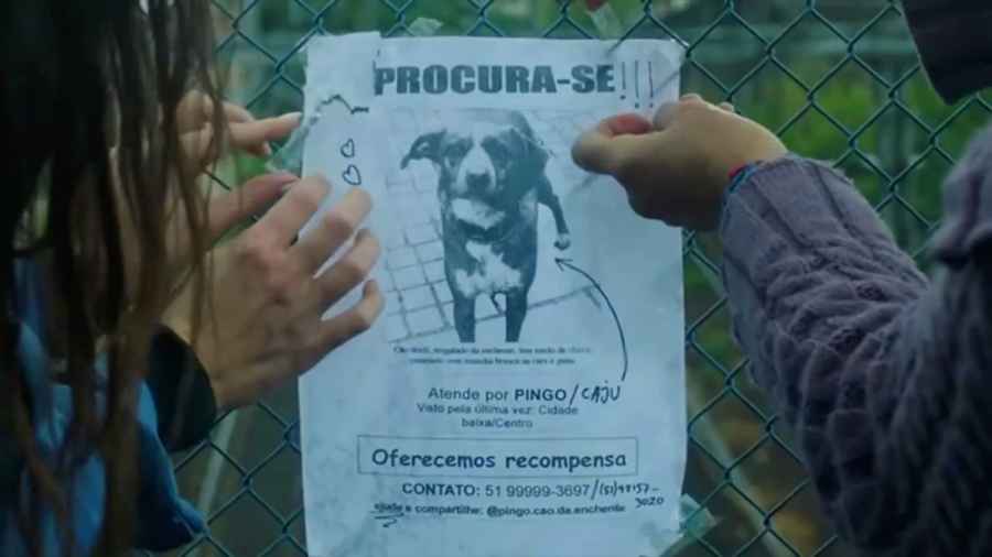 Caju, Meu Amigo: 20 curiosidades LINDAS sobre o filme com Vitória Strada 1 Caju Meu Amigo