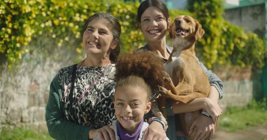 Caju, Meu Amigo - Final Explicado: Quem Fica Com o Cachorro? 2 caju meu amigo final