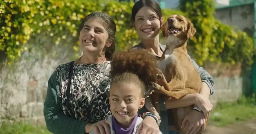 Caju, Meu Amigo - Final Explicado: Quem Fica Com o Cachorro? 3 caju meu amigo final