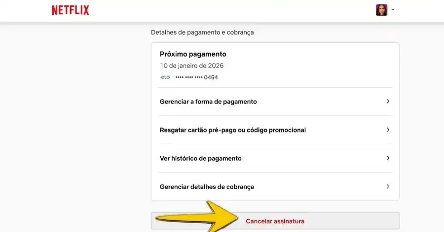 como cancelar a netflix 3