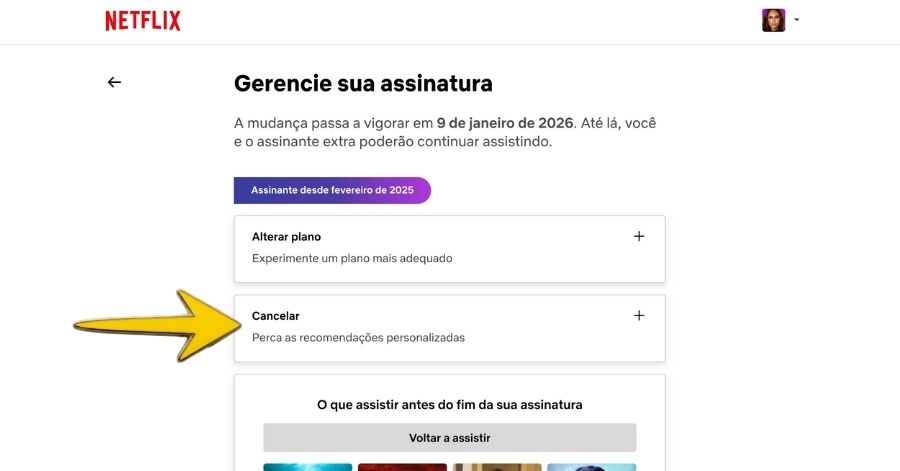 como cancelar a netflix 4