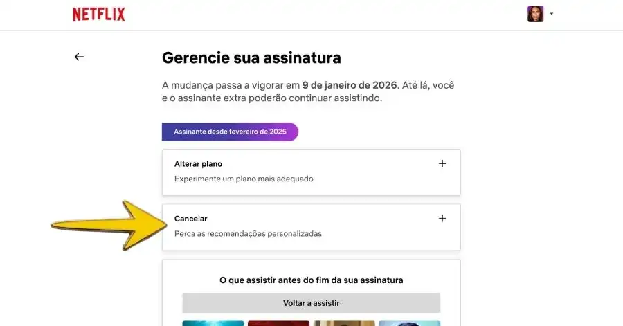 como cancelar a netflix 4