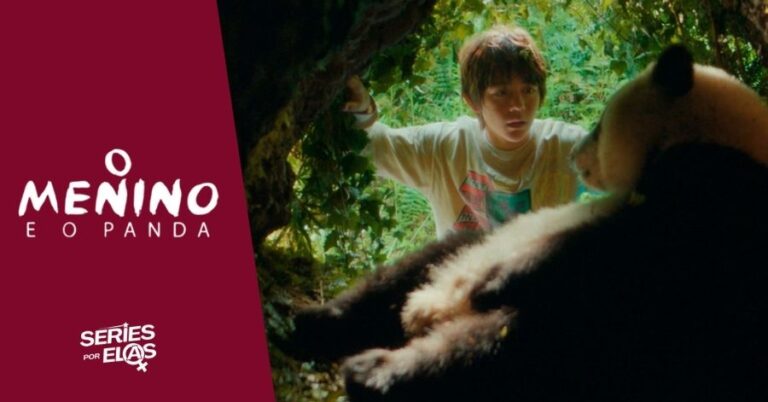 o menino e o panda critica