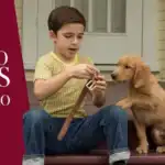 quatro vidas de um cachorro 1