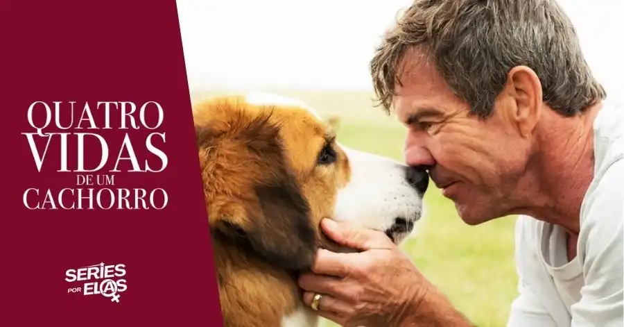 Quatro Vidas de um Cachorro: História Real Por Trás do Filme 2 quatro vidas de um cachorro historia real