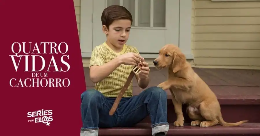 Quatro Vidas de um Cachorro (2017): Elenco, Onde Assistir e Tudo Sobre 2 quatro vidas de um cachorro