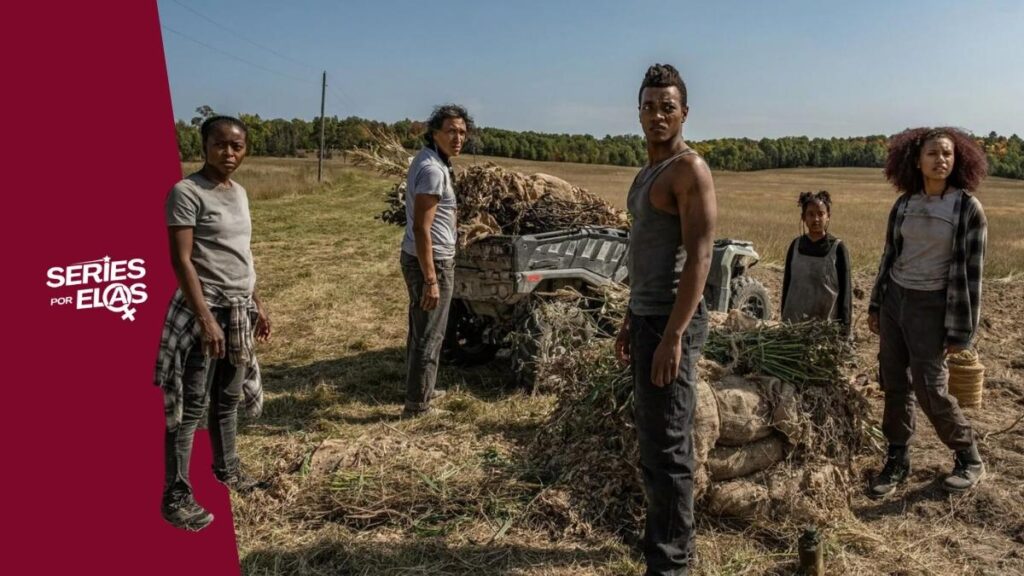 40-acres-onde-assistir