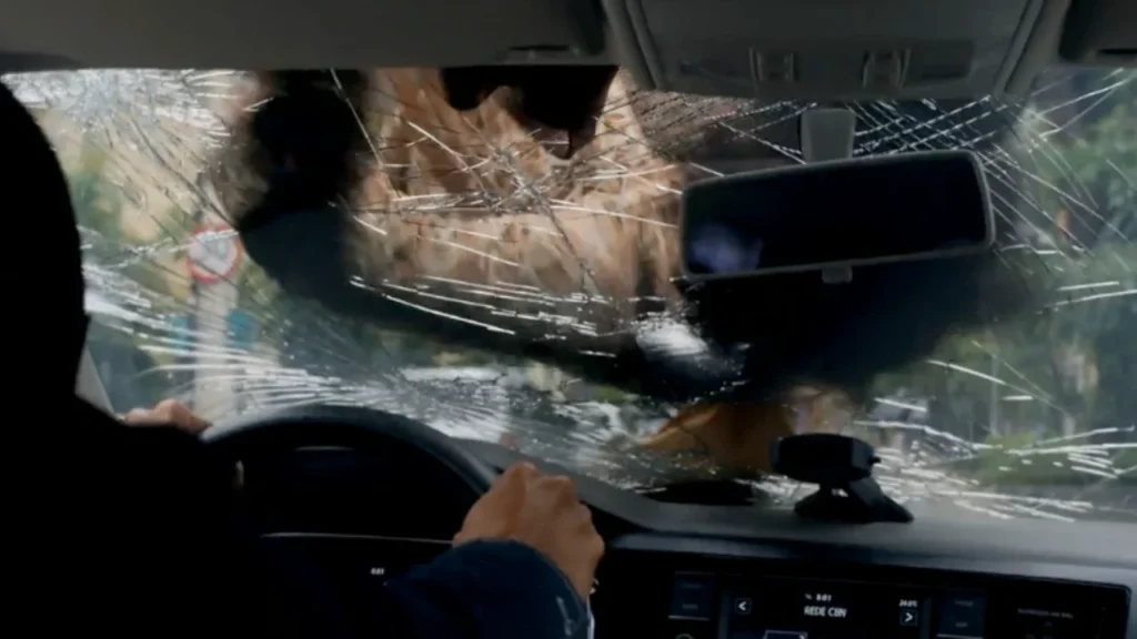 Ferette atropela leonardo em três graças