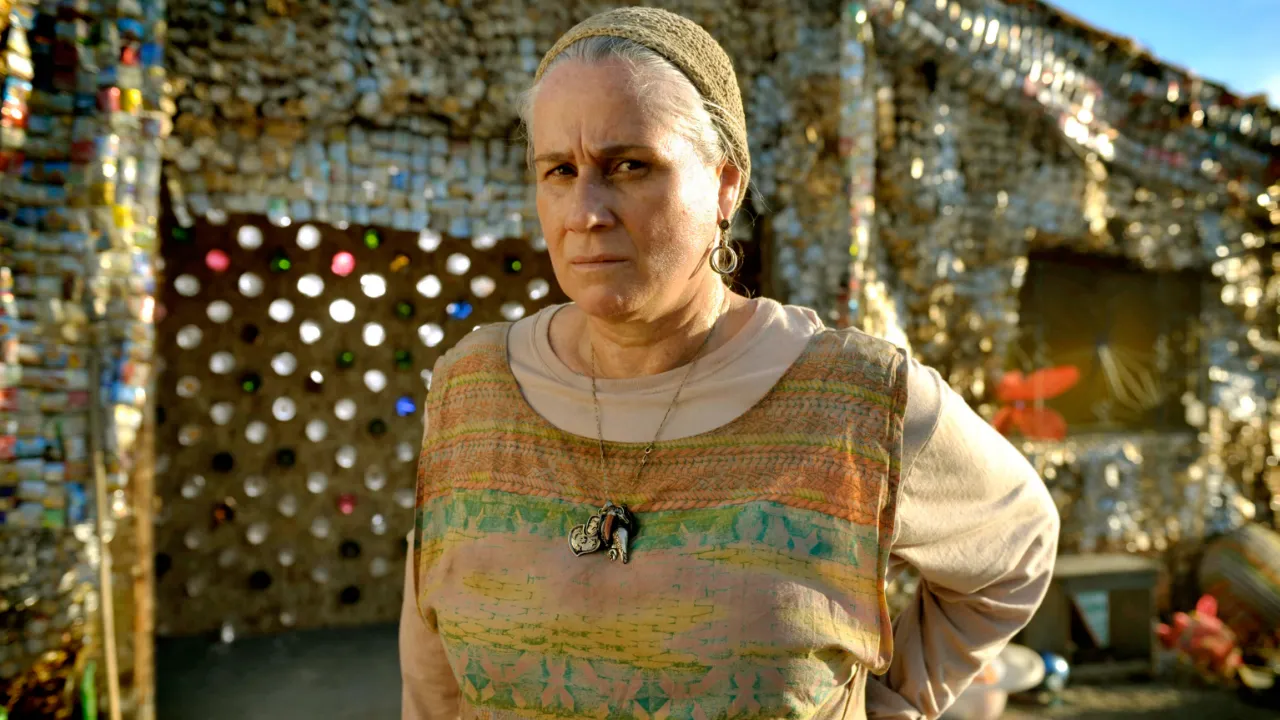 lucinda interpretada por vera holtz em avenida brasil