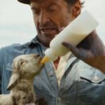As Ovelhas Detetives (The Sheep Detectives): Elenco e Tudo Sobre o Filme 5 As Ovelhas Detetives